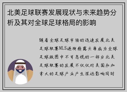 北美足球联赛发展现状与未来趋势分析及其对全球足球格局的影响