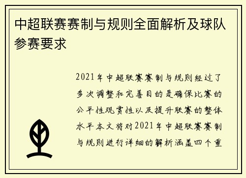 中超联赛赛制与规则全面解析及球队参赛要求