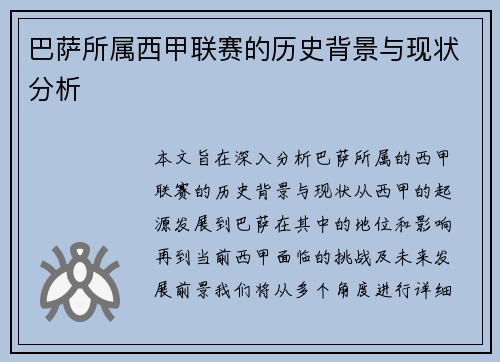 巴萨所属西甲联赛的历史背景与现状分析